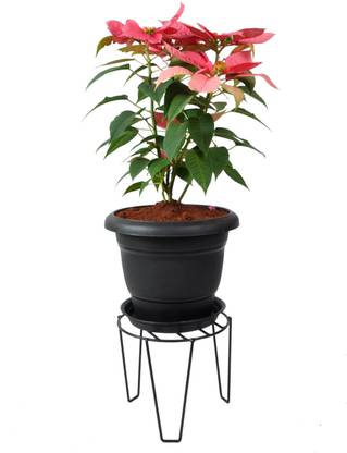 D&V ENGINEERING Round Plant Stand | Flower Pot Stand for Indoor, Garden, Balcony & Home Decor Plant Container Set