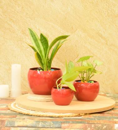 SONE KEY CHIDIYA Desktop Planter/Home/Indoor/Outdoor/Plant Container 5,4,3 inch Combo Set/Red Plant Container Set