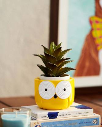 HomifyArt Yellow Owl Mini Planter Pot, Handcrafted, Succulents & Indoor Plants Size 4x3 Plant Container Set