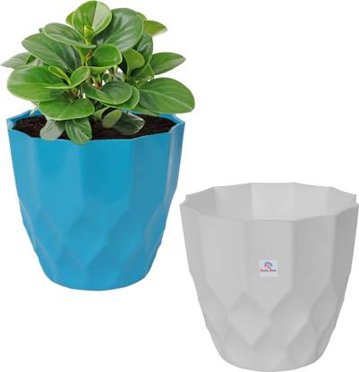 Heart Home Plastic Flower Pots for Indoor|Outdoor|Barfi Flower Pot|6 Inch|Pack of 2|Multi Plant Container Set