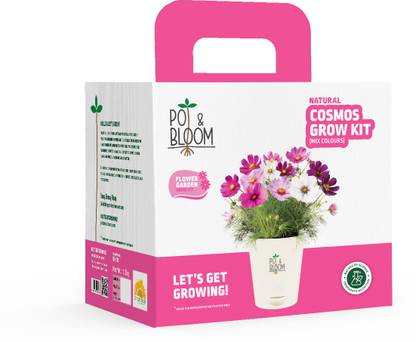 Pot and Bloom Cosmos Gardening Kit Plant Container Set