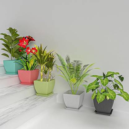 Crackle Make INDIA Grate Square Type Flower Pot Container for Tree Plantation (5 Pcs) Plant Container Set