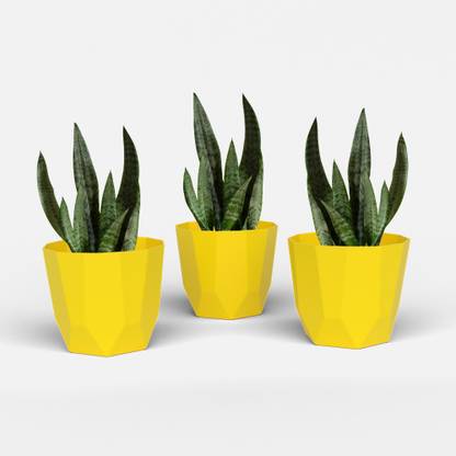 Yuccabe Italia SHERA Hexa 8 Inch Flower Pot Set | Indoor & Outdoor Home Décor Plant Container Plant Container Set