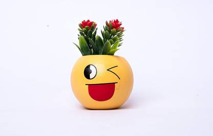 Polygon Green Cute Expressions Smiley Emoji Plant Flower Pot for Home Desk Balcony Decor Plant Container Set