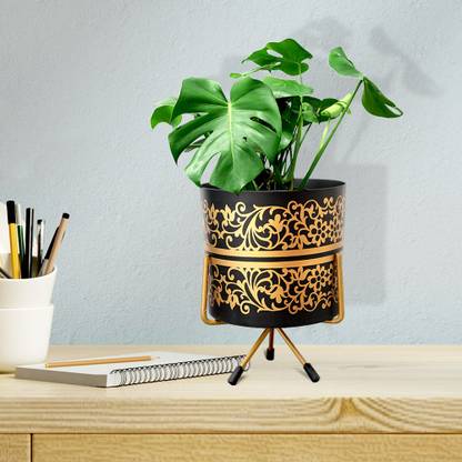 Urban Plant Plant Container Set