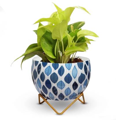 Cinagro MetalFlowerPlanterPot-OceanHavenStylePotsforPlants,HomeDecoration Plant Container Set
