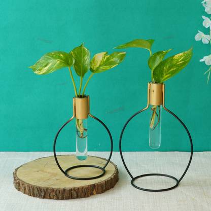 TIED RIBBONS Set of 2 Test Tube Glass Planter with Metal Holder for Wall Hanging Table Top Money Plant Vase Home Office Café Indoor Outdoor Wedding Birthday Decoration Items Plant Container Set