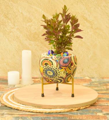 SONE KEY CHIDIYA Handmade Pitalnagi Meenakari Pots N Planter/Home/Indoor/Outdoor/Plant Container Plant Container Set
