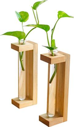 Ojha Crafts Test Tube Planter Pine Wood Station Desk Planter for Living Room Home Décor Plant Container Set