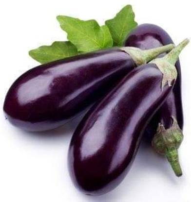 THAI BRINGEL Brinjal