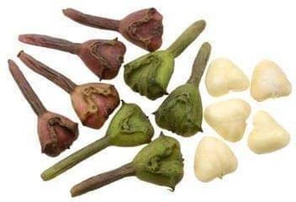 water custar Water Pennywort