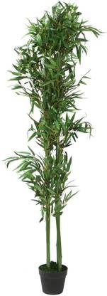 Cloud Farm Two Layer Bamboo Plant