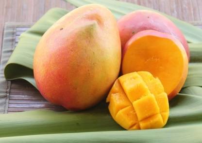 InGreen Mango Plant