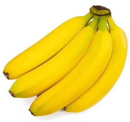 Cavendish Banana Plant
