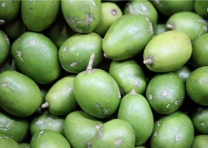Green view Amra Plant