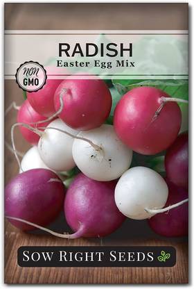 VibeX VXI-87 - Easter Egg Radish - (250 Seeds) Seed