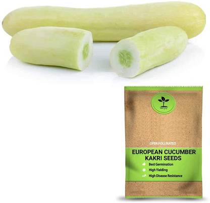 VibeX ® VLR-90 Premium European Cucumber- Kakri Seeds Seed