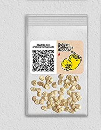Biosnyg GUA-22 Golden California Wonder Bell Capsicum-[200 Seeds] Seed