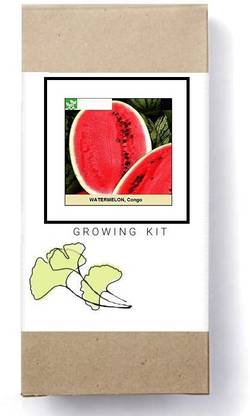 Biosnyg Congo Watermelon-[200 Seeds] Seed