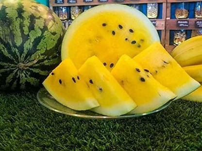 Qualtivate XXX-2A Yellow Flesh Doll Babies Desert King Watermelon Seed