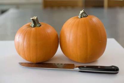 VibeX XLR-6 - Pumpkin Creeper Vegetable - (100 Seeds) Seed