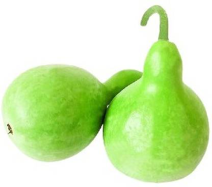 UGRA Round Bottle Gourd, Ghiya Seed