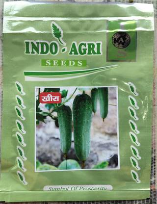 Vinayak 1pouch Indo agri desi Kheera, Desi kheera Seed