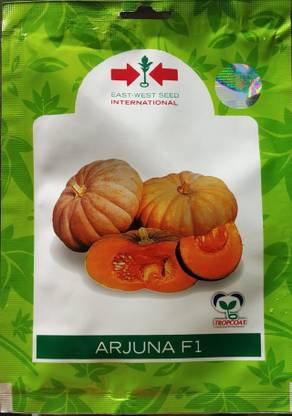 East West Seeds Pumpkin, Arjuna- 10 gm Seed