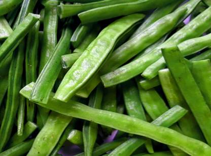 WATIKA Indian Cluster Bean (Guar Bean) Seed