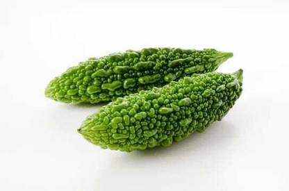 Oliver F1 BEST QUALITY BITTER GOURD SEEDS Seed