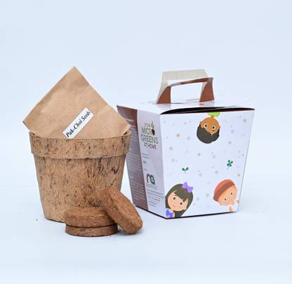 Ninsar Agritech Pvt Ltd Kid's GrowKit, Microgreen Growing Kit For Kids Seed
