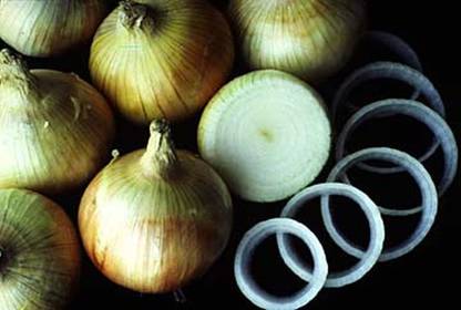 VibeX ® VMR-232 Texas Super Sweet (Slicing) Onion Seed