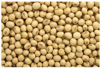 Rudra soyabean seeds Seed