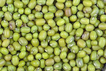 CSPARK BAND Moong Seeds,Whole Moong for Farming OR Agriculture,Dal,Sprouts ( 800gr Seeds ) Seed