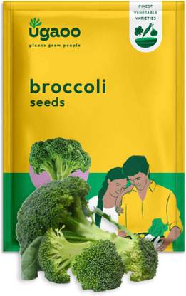 UGAOO Broccoli Vegetable Seed