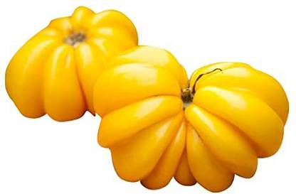 FUTABA Rare Zapotec Tomato Vegetable Seeds-Yellow Seed