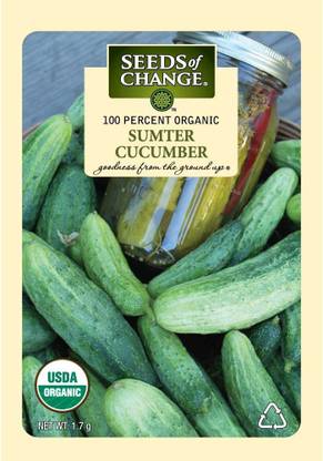 CYBEXIS PUAS-77 - Sumter Cucumber - (150 Seeds) Seed