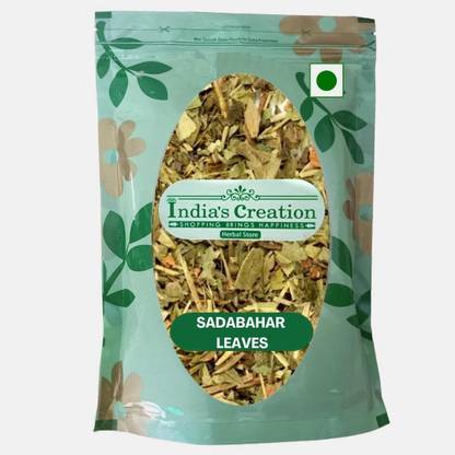 Indias Creation Sadabahar Leaves, Sadabhar Leaves, Sadabahar Patta, Vinca Rosea, Periwinkle Leaves Seed