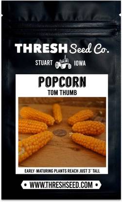 WILLVINE MAH -XVI Tom Thumb Corn-[25g] Seed