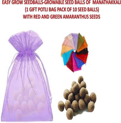 MGBN EASY GROW SEEDBALLS-GROWABLE SEED BALLS OF MAKOY(NIGRUM/SUKKUTI KEERAI/MANATHAKKALI) (1 GIFT BOX PACK OF 10 SEED BALLS) WITH RED AND GREEN AMARANTHUS SEEDS Seed