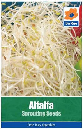 CYBEXIS Alfalfa Sprouting Seeds-350 Seeds Seed