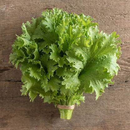 VibeX ® VXI-244 Mustard Greens Wasabina Seed