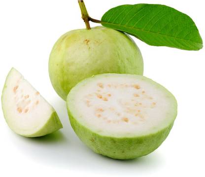 DROXTY Fresh Sweet Guava Fruit hybrid (High yield variety) Seed