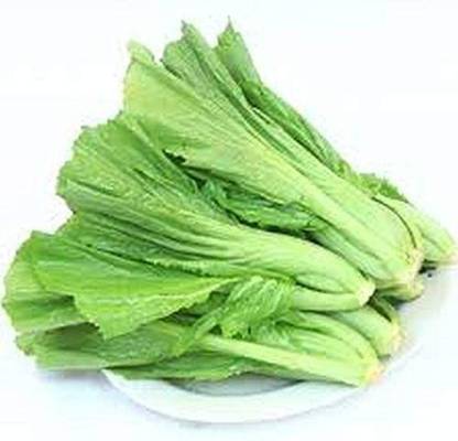 CYBEXIS TLX-75 - Small Gai Choi Chinese Mustard - (750 Seeds) Seed