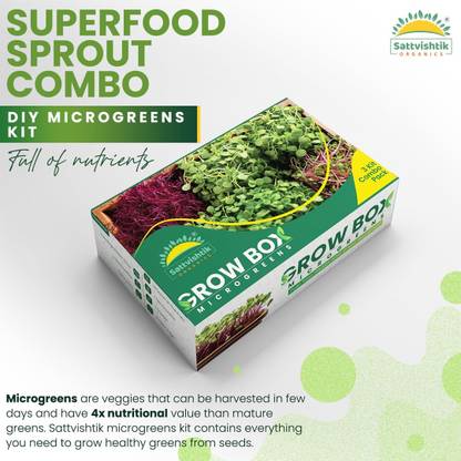 Sattvishtik Superfood Sprout Combo (Pearl Millet, Rocket, Beetroot) Kit, DIY Microgreens Kit Seed