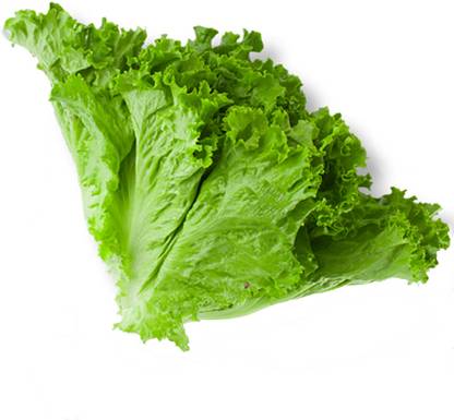 Arshiayat Lettuce Seed