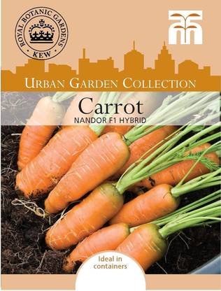 KNESSiN Urban Vegetables - Carrot Nandor Seed