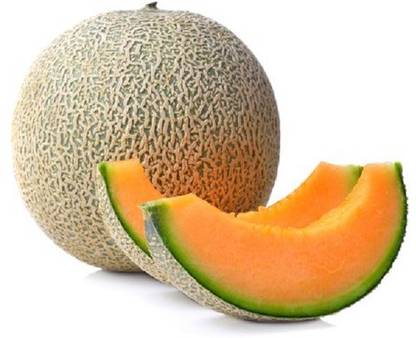 VibeX XLL-69 - Lyallpur 257 F1 Hybrid Muskmelon - (450 Seeds) Seed