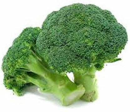 VibeX PUAS-60 - Lieutenant Broccoli - (450 Seeds) Seed