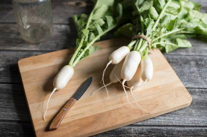 CEZIUS Mooli Muli Mula Mulangi Mini Mak Radish Seed-A8A Seed
